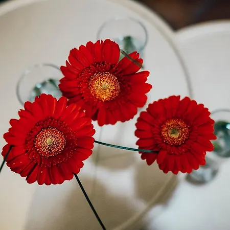 Szálloda Ratskeller Wiedenbrueck