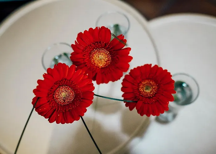 מלון Ratskeller Wiedenbrueck